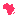 africa